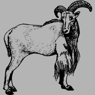 Rams Miniaturansicht