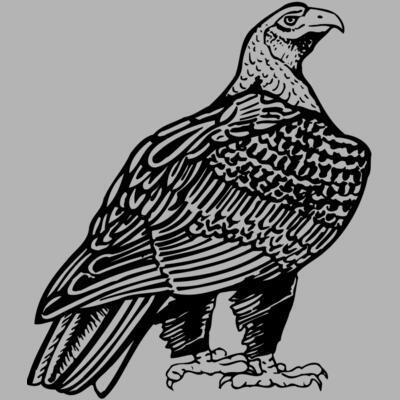 Eagle Miniaturansicht