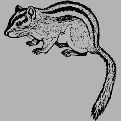 Chipmunk Miniaturansicht