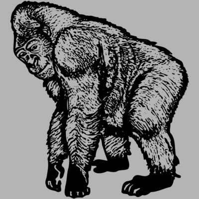 Primate Miniaturansicht