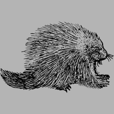 Porcupine Miniaturansicht
