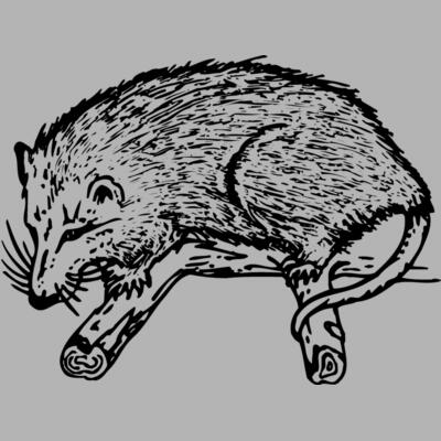 Opossum Miniaturansicht