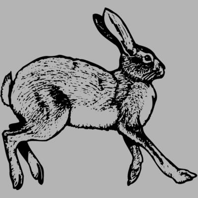 Rabbit Miniaturansicht