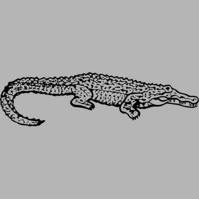 Alligator Miniaturansicht