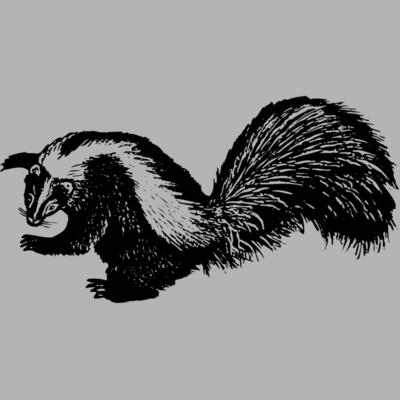 Skunk Miniaturansicht