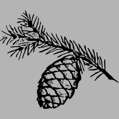 Pine Cone Miniaturansicht